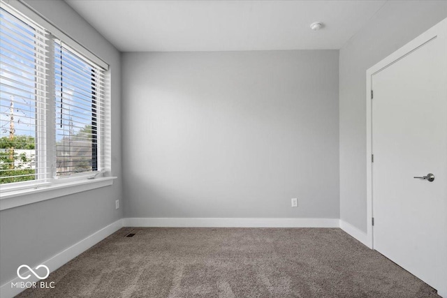 1009 N Park Ave, Indianapolis, IN 46202 - photo 18