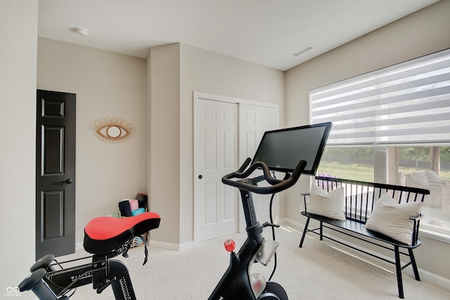 4163 Ironclad Dr, Bargersville, IN 46106 - exercise area featuring carpet