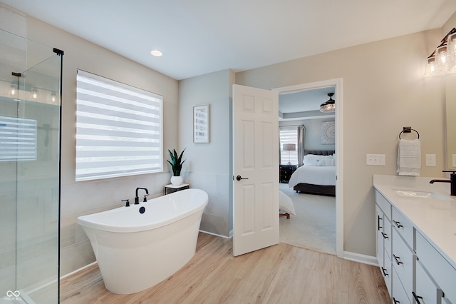 4163 Ironclad Dr, Bargersville, IN 46106 - bathroom featuring wood finished floors, vanity, a soaking tub, a walk in shower, and connected bathroom
