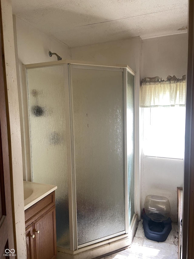 7669 W 100 N, Tipton, IN 46072 - full bathroom with a stall shower, vanity, and toilet