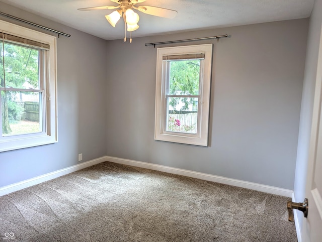 1637 Meridian St, Columbus, IN 47201 - unfurnished room with carpet, plenty of natural light, and baseboards