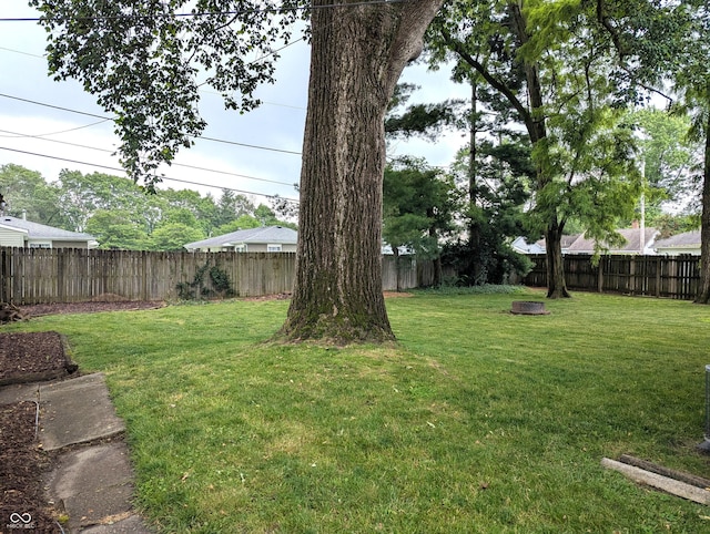1637 Meridian St, Columbus, IN 47201 - view of yard
