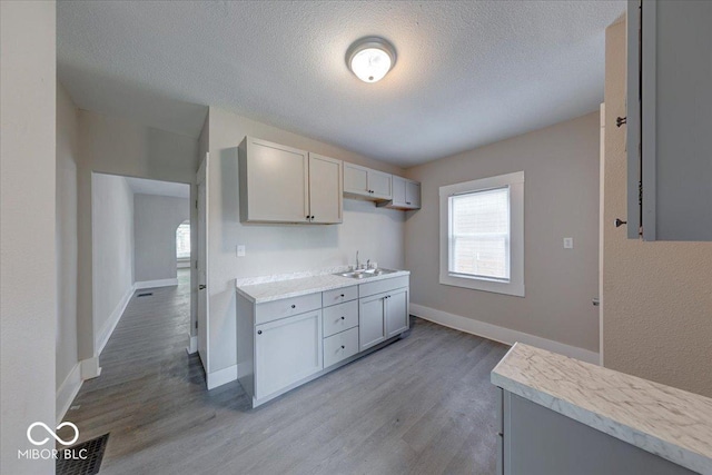 418 Eastern Ave, Indianapolis, IN 46201 - kitchen featuring light wood-style floors, light countertops, a textured ceiling, and gray cabinetry