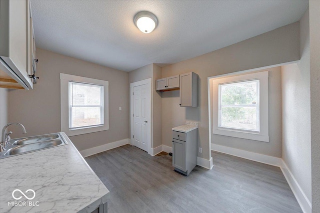 418 Eastern Ave, Indianapolis, IN 46201 - kitchen with light wood finished floors, light countertops, gray cabinetry, and a textured ceiling