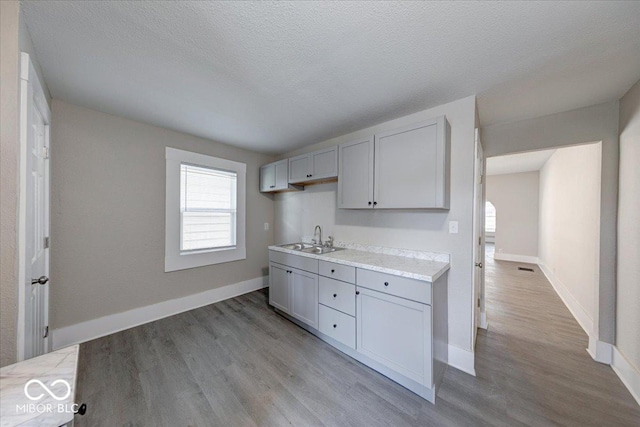 420 Eastern Ave, Indianapolis, IN 46201 - kitchen featuring light wood finished floors, gray cabinets, light countertops, and a textured ceiling