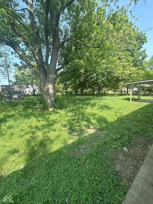 2180 N Irwin St, Indianapolis, IN 46219 - view of yard