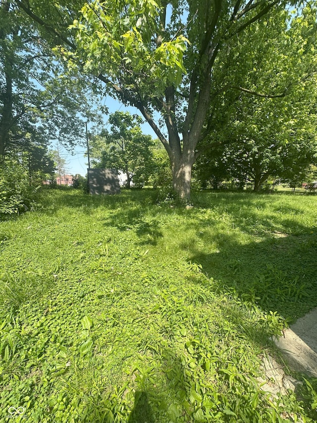 2180 N Irwin St, Indianapolis, IN 46219 - view of yard