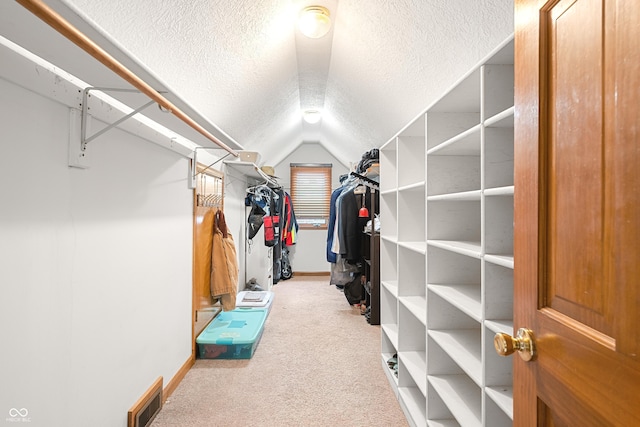 7082 Hunters Ridge Dr, Plainfield, IN 46168 - walk in closet with vaulted ceiling and carpet floors