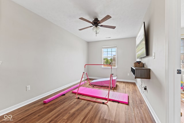 2580 Bluewood Way, Plainfield, IN 46168 - exercise area featuring wood finished floors, a ceiling fan, and a textured ceiling