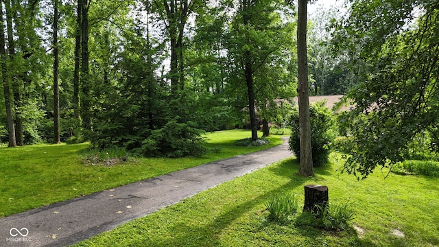 1350 Inverness Farms Rd, Martinsville, IN 46151 - view of home's community with a lawn
