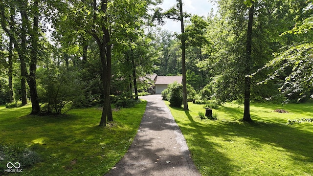 1350 Inverness Farms Rd, Martinsville, IN 46151 - view of front facade with driveway, a front lawn, and a view of trees