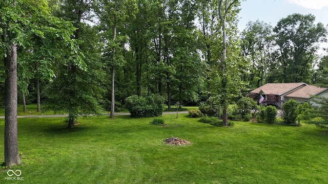 1350 Inverness Farms Rd, Martinsville, IN 46151 - view of green lawn