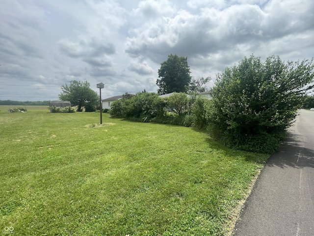 4363 Roosevelt Dr, Columbus, IN 47201 - view of green lawn
