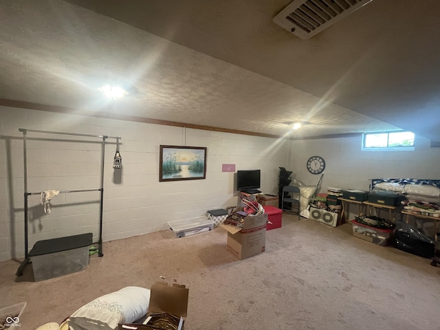 4363 Roosevelt Dr, Columbus, IN 47201 - basement featuring concrete block wall and carpet floors