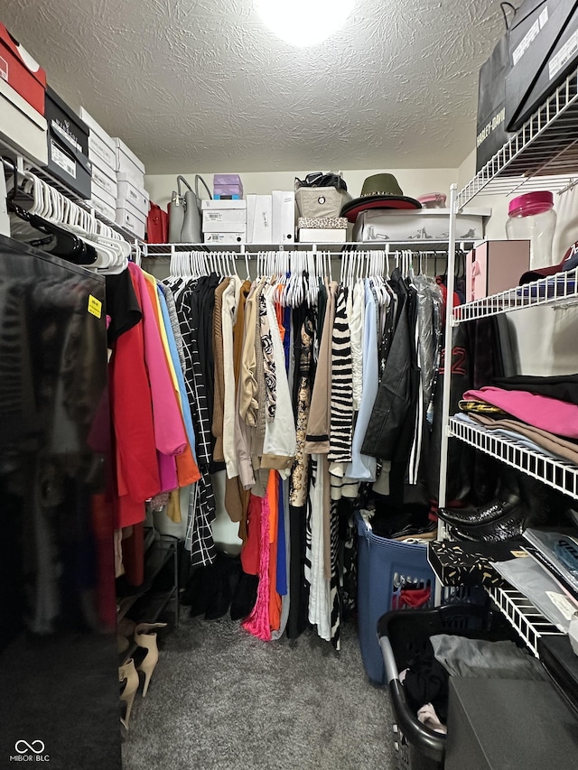 4925 Chip Shot Ln, Indianapolis, IN 46235 - walk in closet featuring carpet flooring