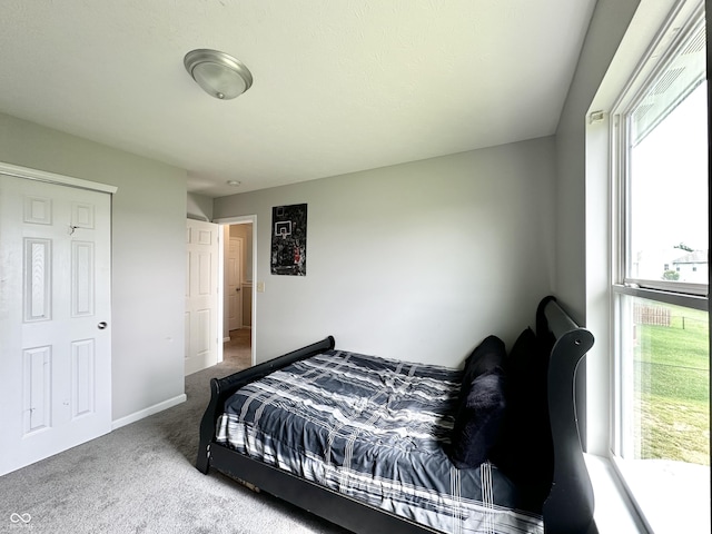 4925 Chip Shot Ln, Indianapolis, IN 46235 - bedroom with multiple windows, carpet floors, and baseboards