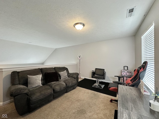 4925 Chip Shot Ln, Indianapolis, IN 46235 - carpeted office featuring a textured ceiling and vaulted ceiling