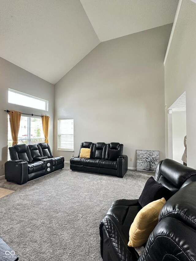 4925 Chip Shot Ln, Indianapolis, IN 46235 - carpeted living room with high vaulted ceiling and baseboards