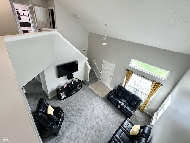 4925 Chip Shot Ln, Indianapolis, IN 46235 - carpeted living area with high vaulted ceiling