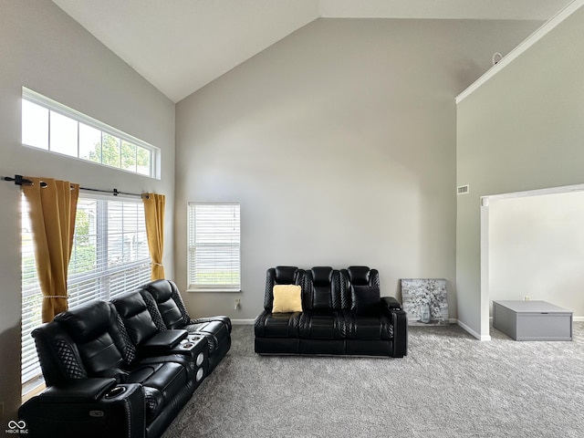 4925 Chip Shot Ln, Indianapolis, IN 46235 - carpeted living area with high vaulted ceiling and baseboards