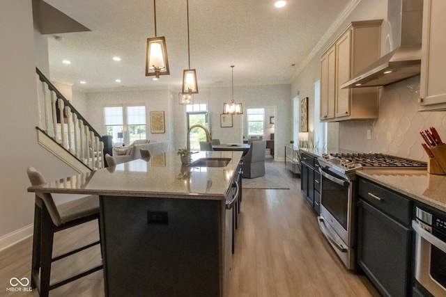 139 Wayfinder Dr, West Lafayette, IN 47906 - kitchen featuring wall chimney exhaust hood, a sink, appliances with stainless steel finishes, light wood-style flooring, and open floor plan