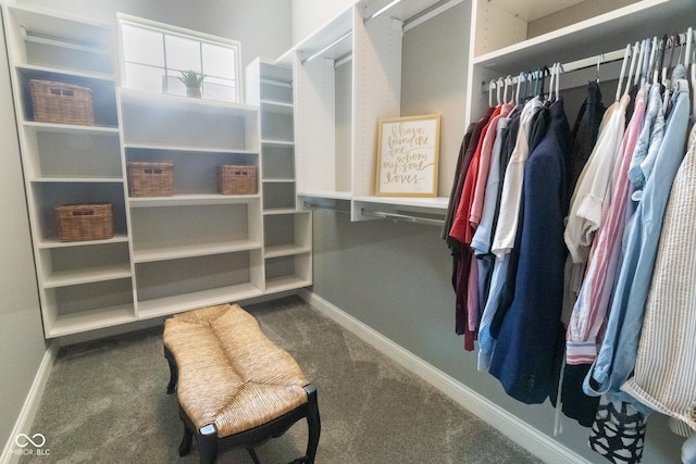 139 Wayfinder Dr, West Lafayette, IN 47906 - spacious closet with carpet floors