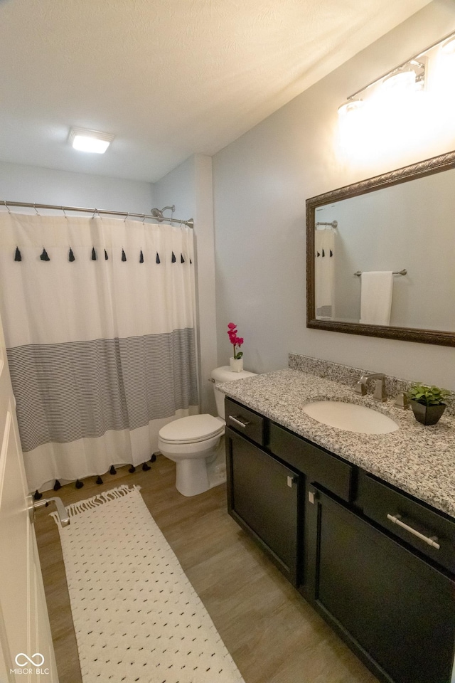 139 Wayfinder Dr, West Lafayette, IN 47906 - bathroom with wood finished floors, vanity, toilet, and a shower with shower curtain