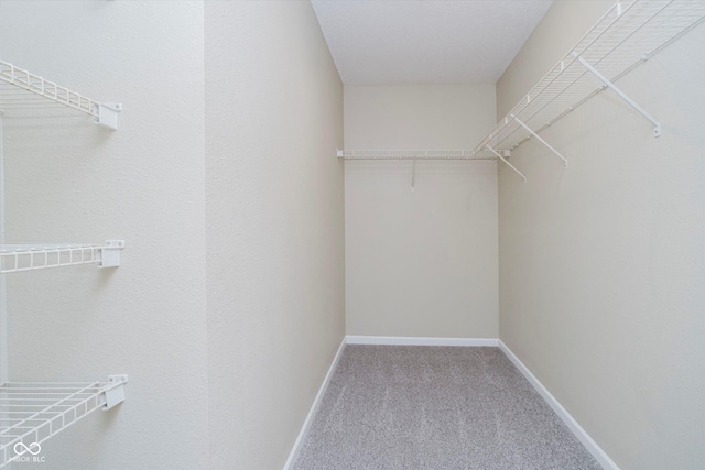 2834 Wolfgang Dr, Indianapolis, IN 46239 - walk in closet featuring carpet