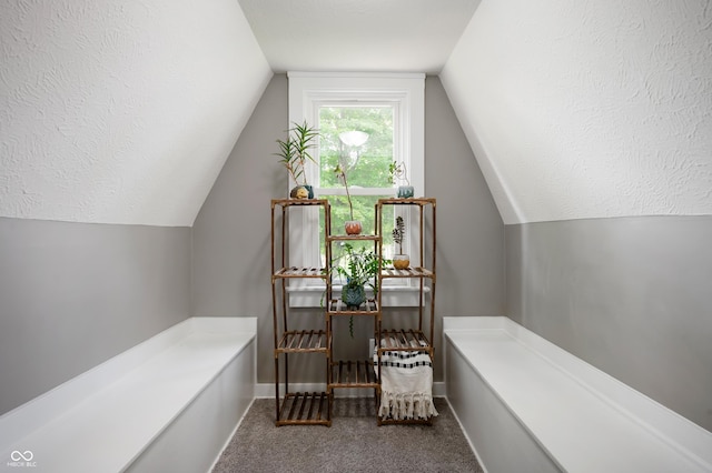 110 E Harrison St, Spiceland, IN 47346 - interior space with vaulted ceiling and carpet floors