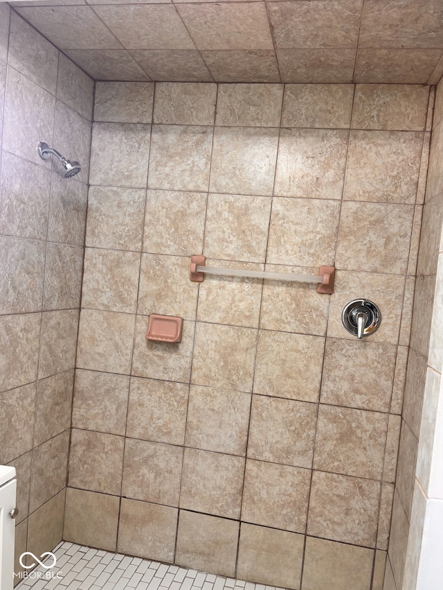 624 N Rural St, Indianapolis, IN 46201 - full bathroom featuring a tile shower and toilet