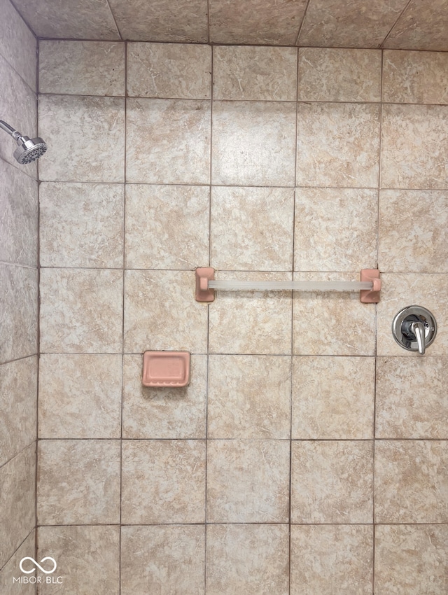624 N Rural St, Indianapolis, IN 46201 - bathroom view of tiled shower
