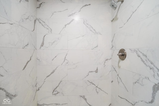 9378 N County Road 75 W, Lizton, IN 46149 - bathroom featuring a tile shower