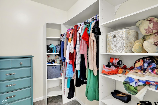 3301 N 200 W, Franklin, IN 46131 - walk in closet featuring carpet flooring