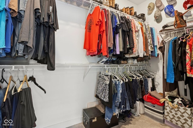 11429 Lottie Cir, Noblesville, IN 46060 - view of walk in closet
