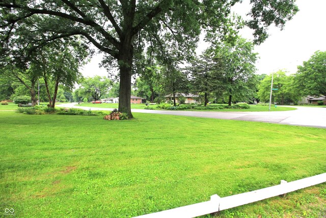 6601 Twin Brooks Dr, Indianapolis, IN 46227 - photo 5