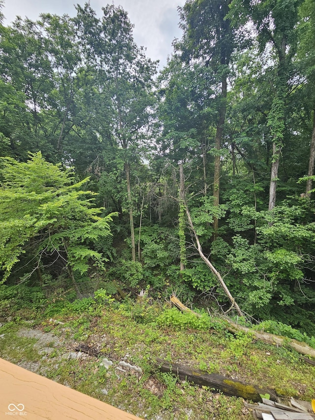 1317 S Ebert Dr, Rockville, IN 47872 - view of local wilderness