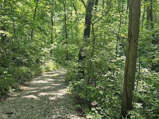 1317 S Ebert Dr, Rockville, IN 47872 - view of wooded area