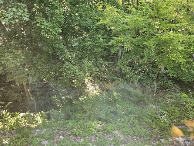 1317 S Ebert Dr, Rockville, IN 47872 - view of undeveloped land
