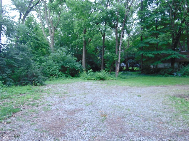 4747 Guion Rd, Indianapolis, IN 46254 - photo 12
