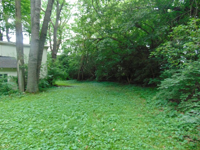 4747 Guion Rd, Indianapolis, IN 46254 - photo 8