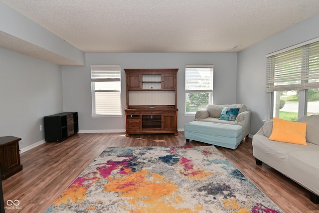 15524 Follow Dr, Noblesville, IN 46060 - living area with wood finished floors, a textured ceiling, and baseboards