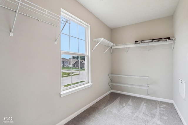 1739 Wedgewood Pl, Avon, IN 46123 - walk in closet with carpet floors