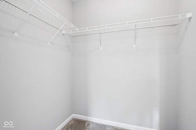 1739 Wedgewood Pl, Avon, IN 46123 - spacious closet with carpet flooring