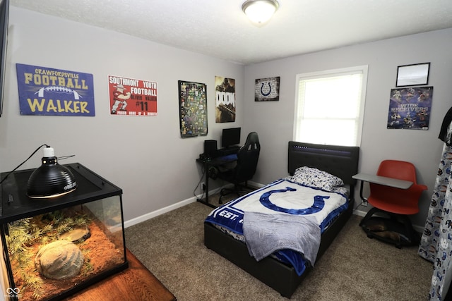 3119 W Burning Tree Rd, Crawfordsville, IN 47933 - carpeted bedroom with baseboards