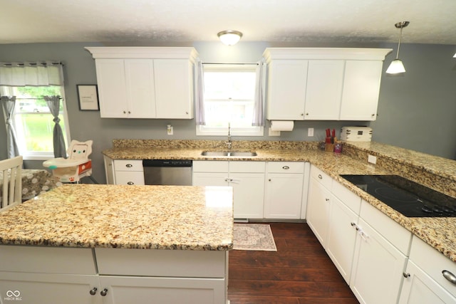 3119 W Burning Tree Rd, Crawfordsville, IN 47933 - kitchen featuring a sink, black electric stovetop, dishwasher, dark wood-style floors, and white cabinets