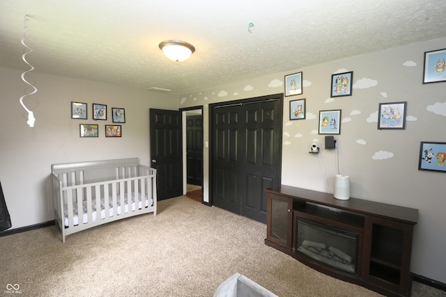3119 W Burning Tree Rd, Crawfordsville, IN 47933 - bedroom featuring a textured ceiling, carpet flooring, and a closet
