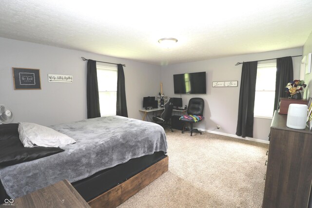 3119 W Burning Tree Rd, Crawfordsville, IN 47933 - photo 25