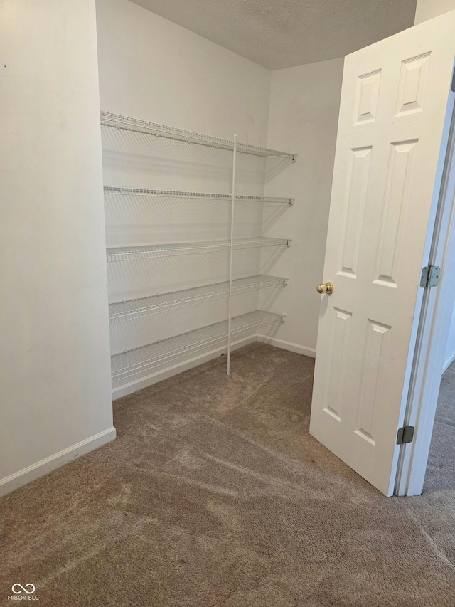 6368 Titania Dr, Indianapolis, IN 46236 - walk in closet with carpet