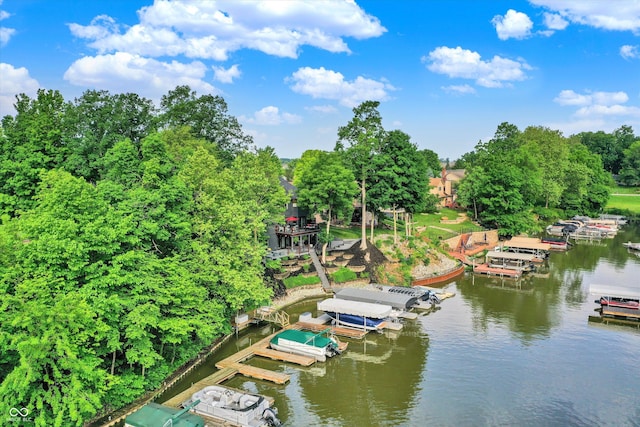 826 N Lanyard Dr, Cicero, IN 46034 - dock featuring a water view, view of scattered trees, and boat lift