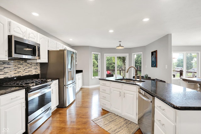 826 N Lanyard Dr, Cicero, IN 46034 - kitchen with appliances with stainless steel finishes, a sink, plenty of natural light, recessed lighting, and light wood-type flooring